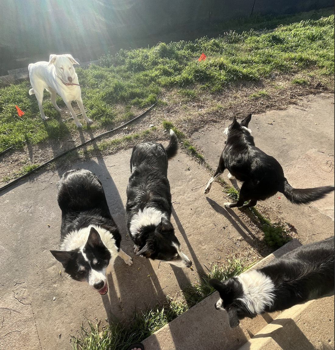 Screen Shot 2026-04-07 at 3.29.56 PM.png