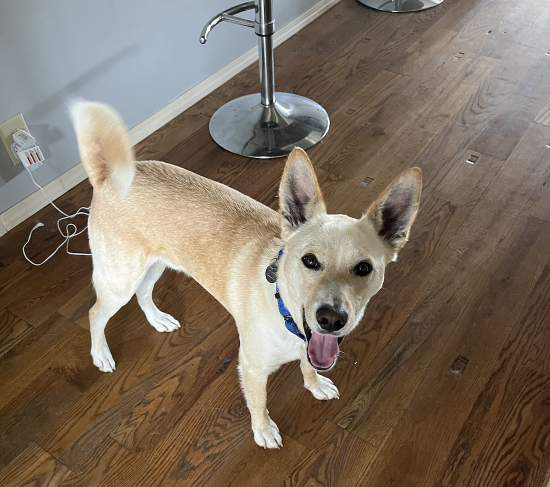 Screen Shot 2026-04-07 at 10.59.12 PM.png