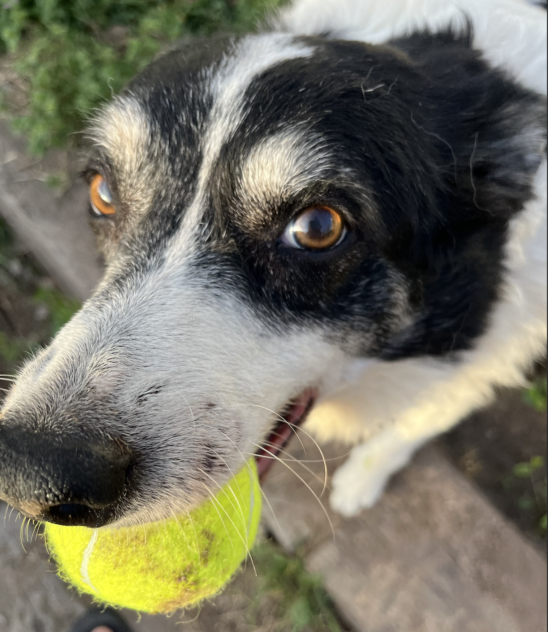 Screen Shot 2026-04-07 at 3.28.45 PM.png