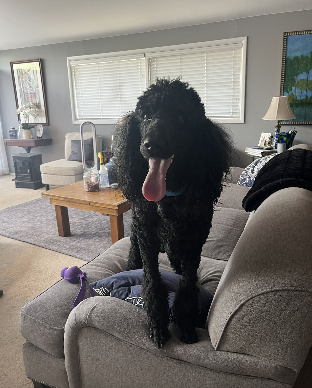 Screen Shot 2026-04-07 at 7.25.44 PM.png