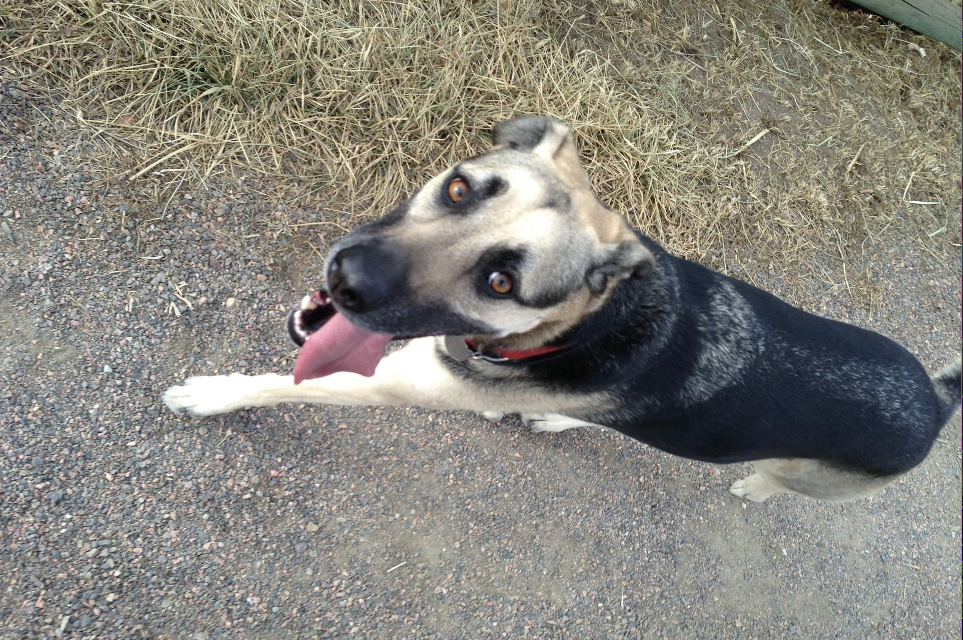 Screen Shot 2026-04-07 at 8.02.48 PM.png