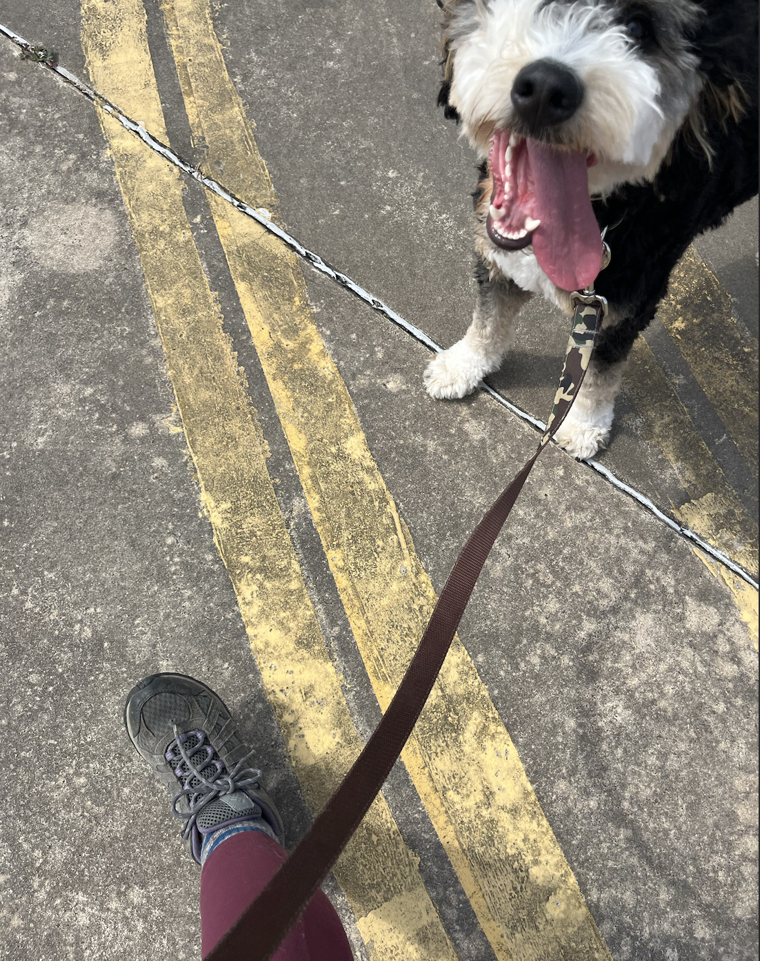 Screen Shot 2026-04-07 at 3.37.14 PM.png