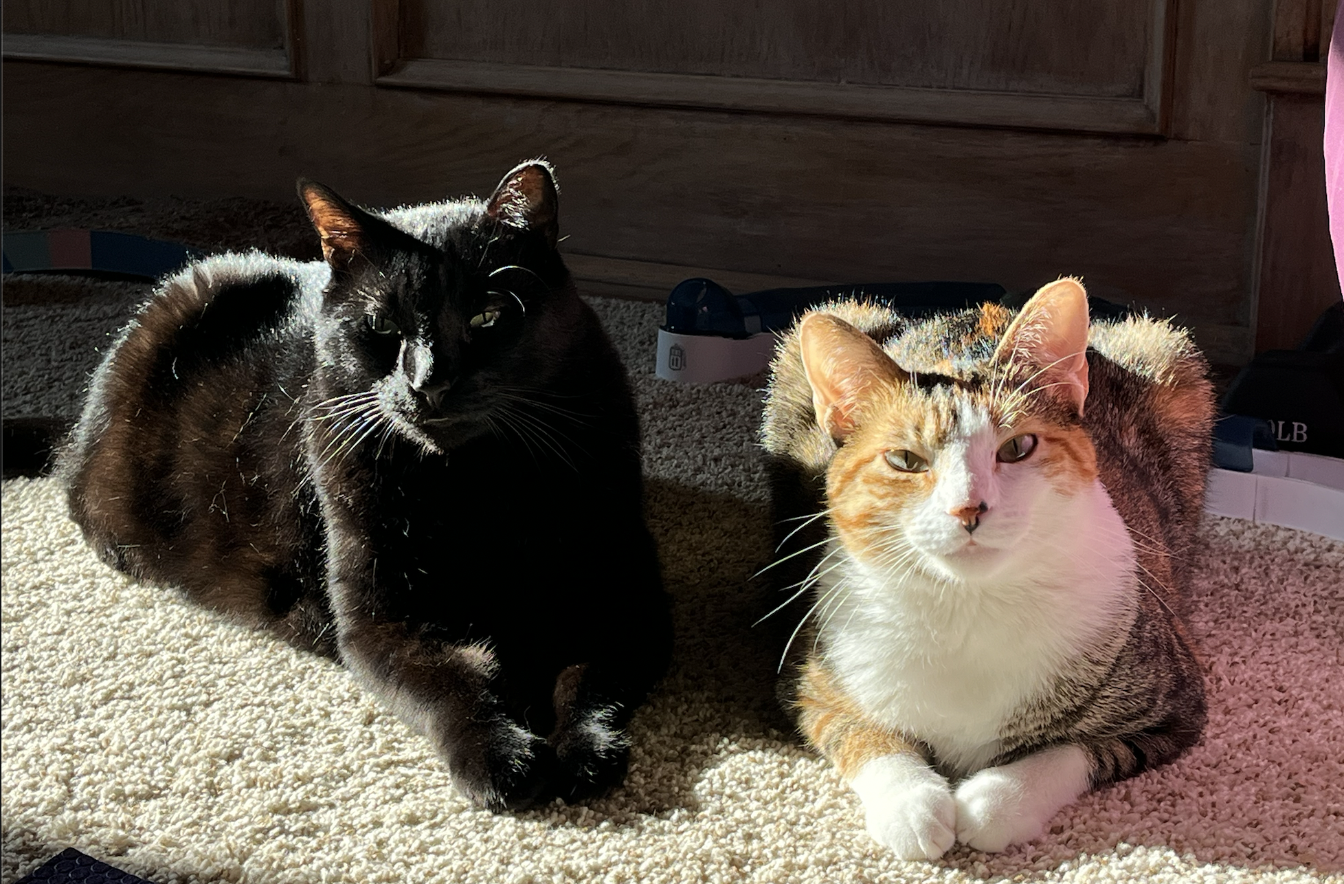 Screen Shot 2026-04-07 at 10.45.32 PM.png