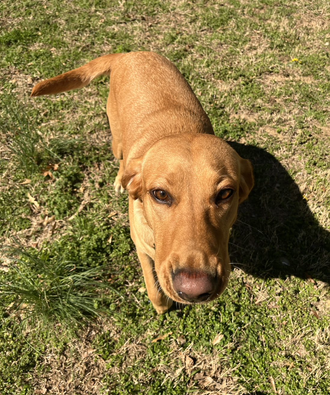 Screen Shot 2026-04-07 at 3.39.37 PM.png