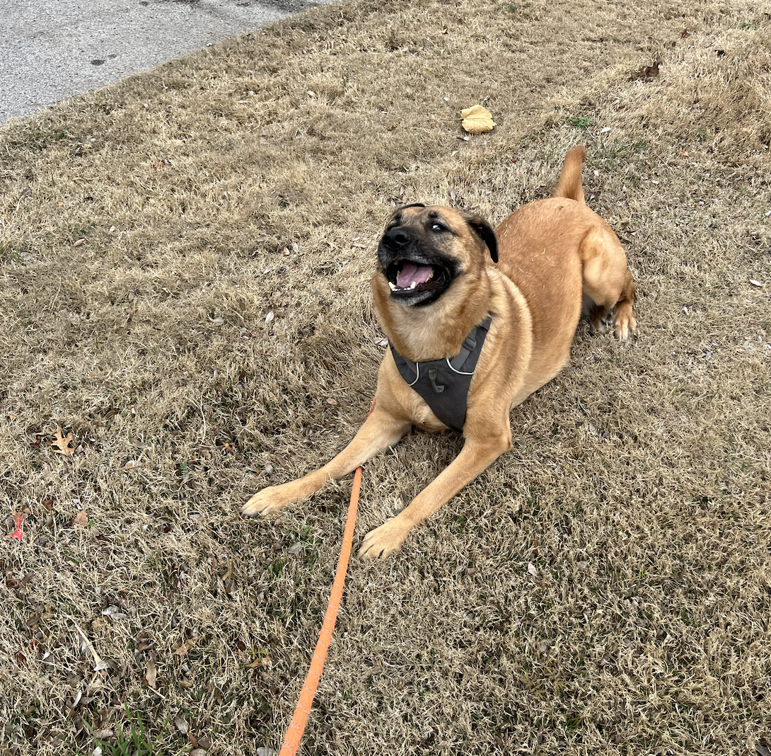 Screen Shot 2026-04-07 at 7.59.58 PM.png