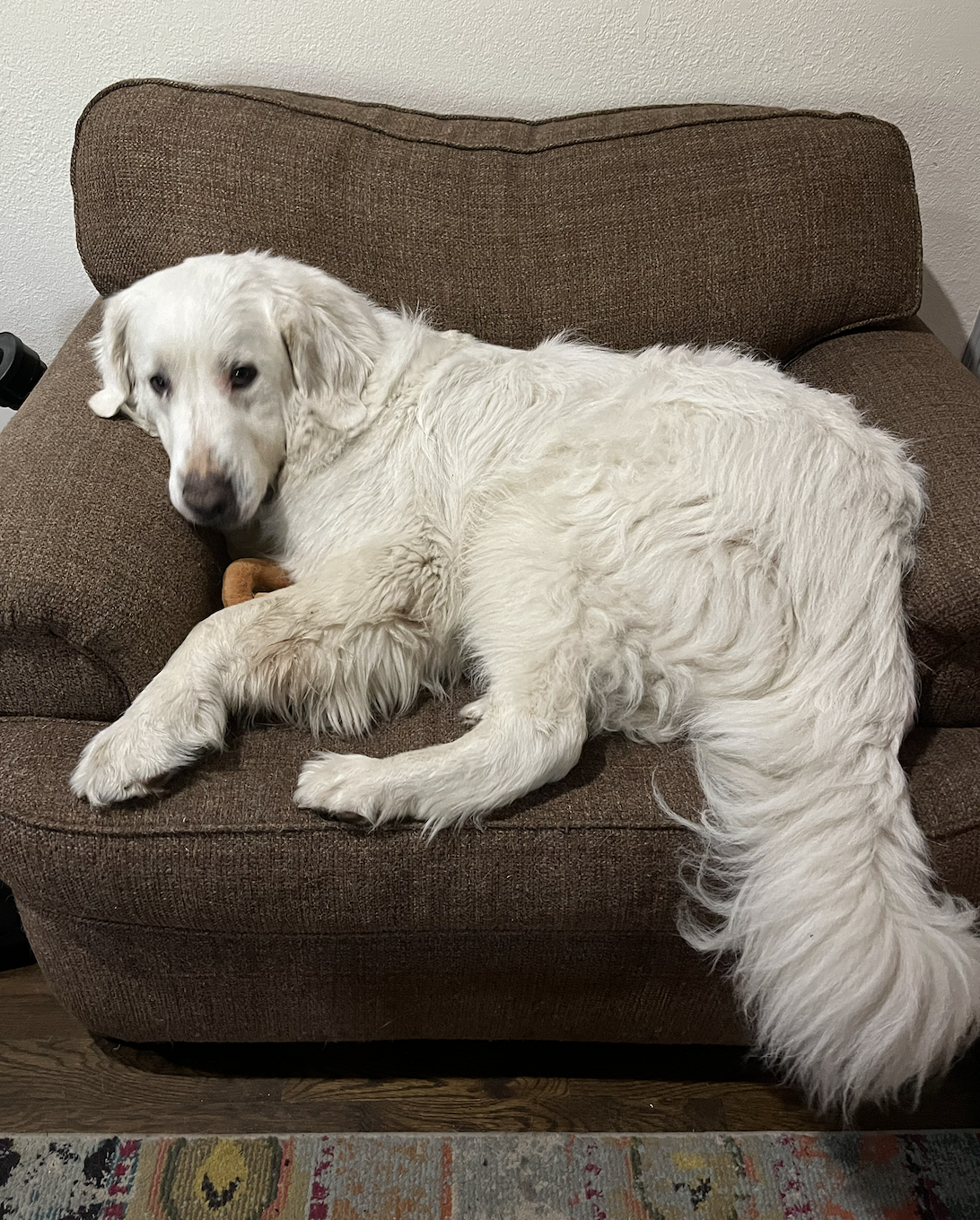 Screen Shot 2026-03-31 at 2.07.12 PM.png