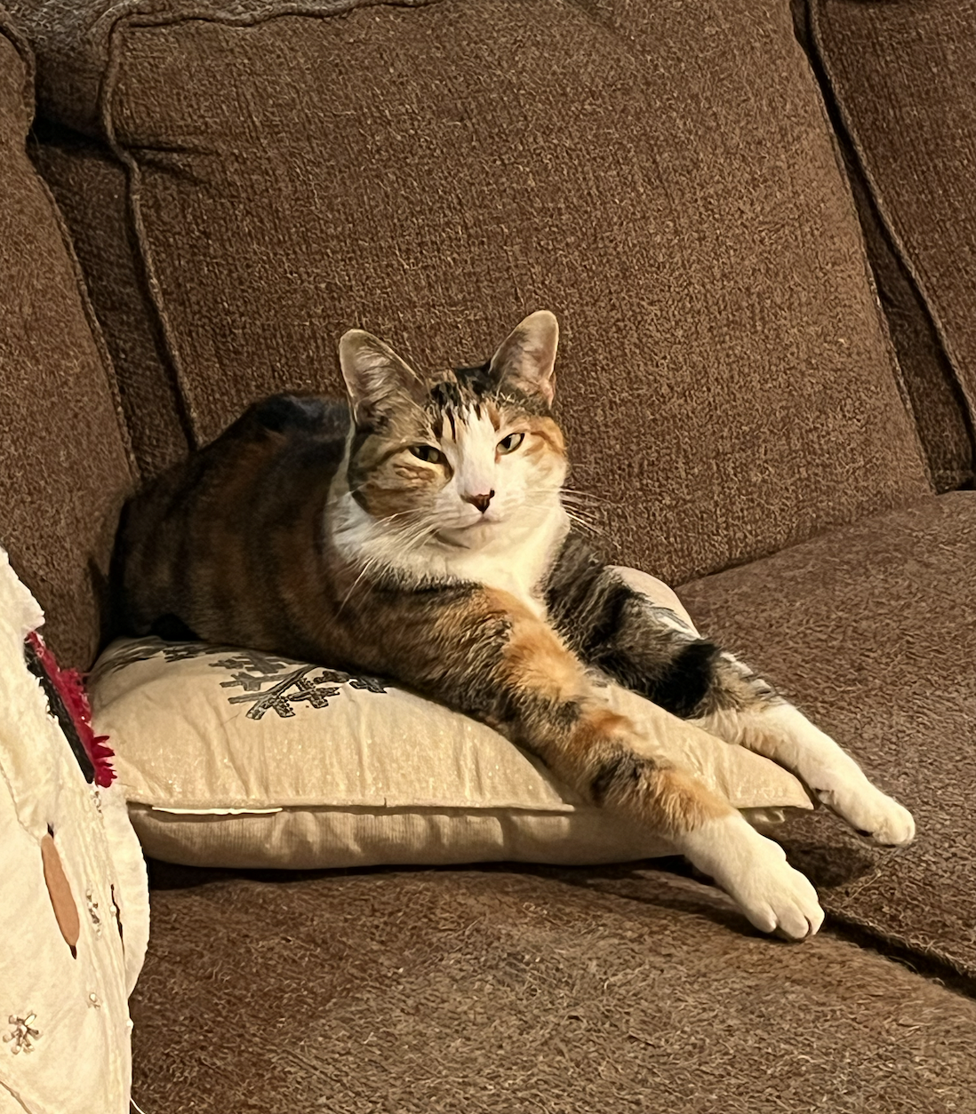 Screen Shot 2026-04-07 at 8.11.04 PM.png