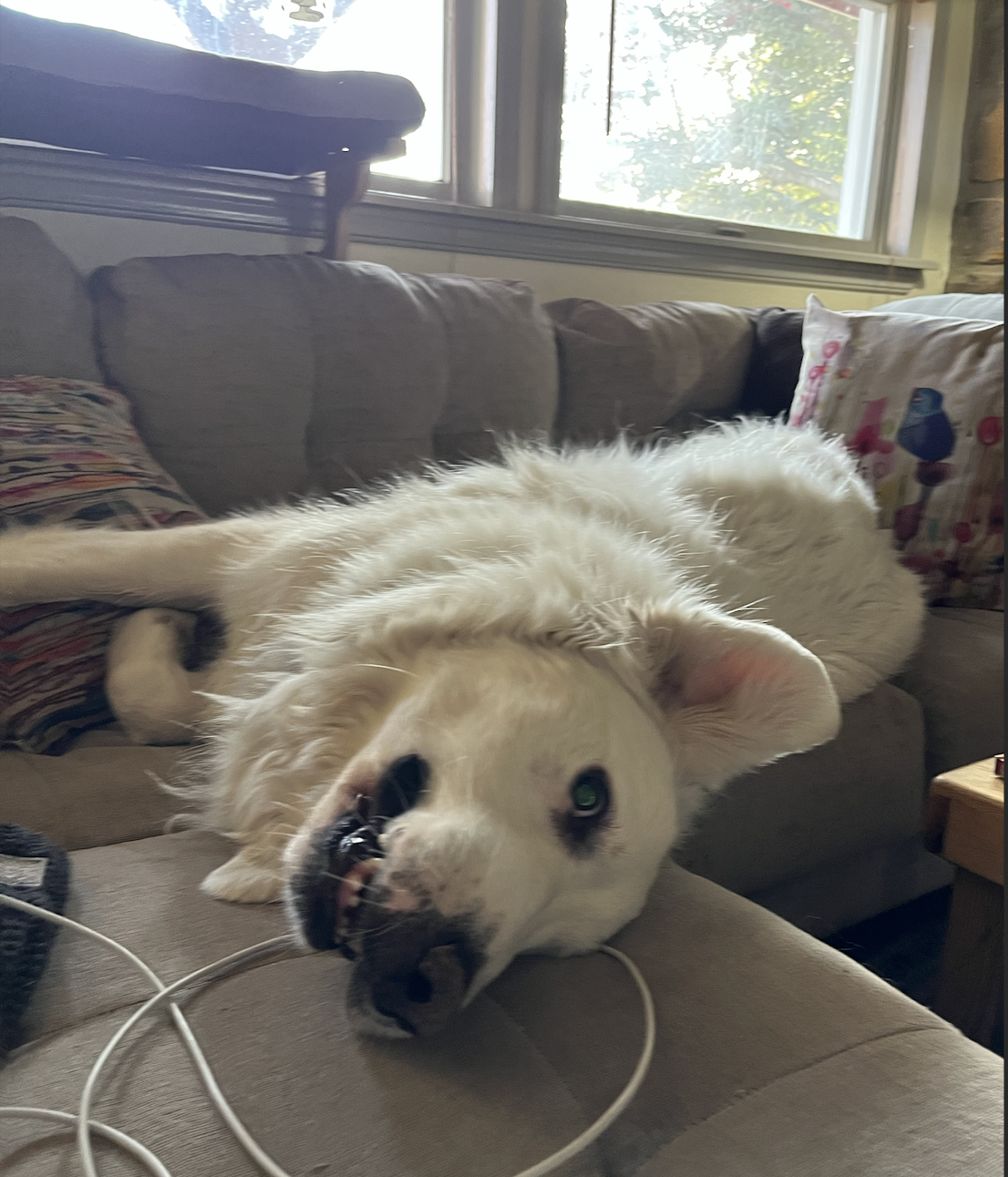 Screen Shot 2026-04-01 at 9.15.36 AM.png