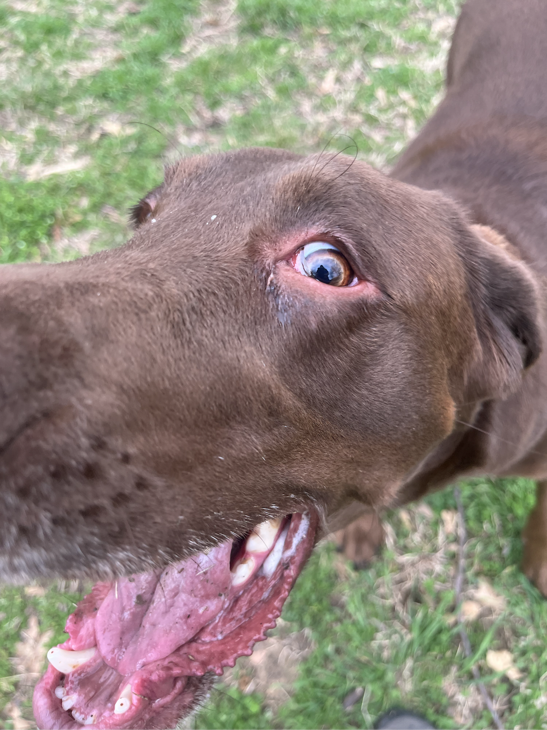 Screen Shot 2026-04-07 at 3.29.04 PM.png