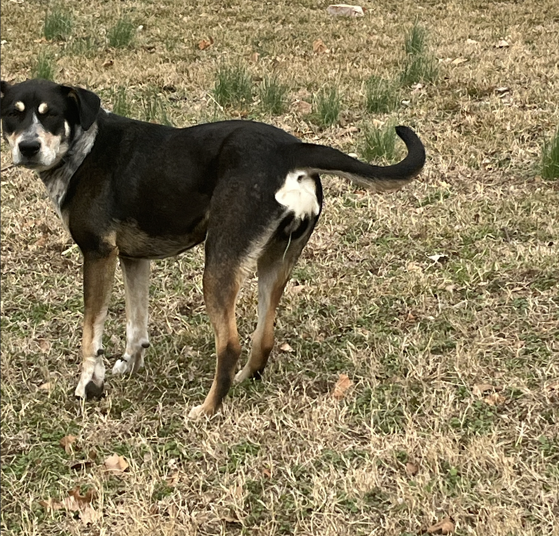 Screen Shot 2026-04-07 at 10.59.42 PM.png