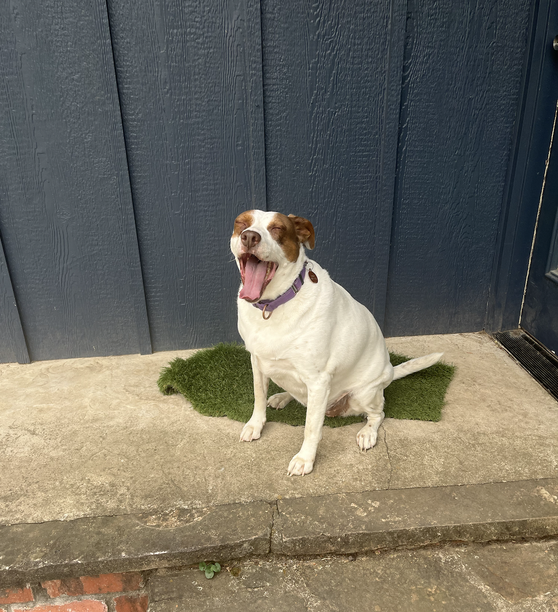 Screen Shot 2026-04-07 at 7.27.59 PM.png