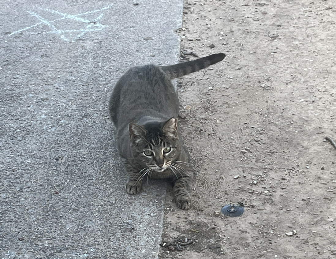 Screen Shot 2026-04-07 at 8.10.24 PM.png