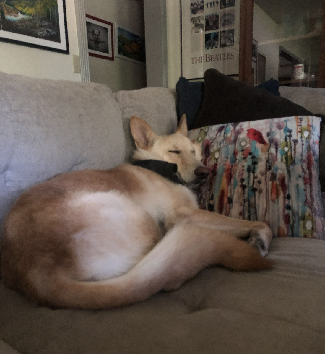 Screen Shot 2026-04-01 at 9.01.56 AM.png