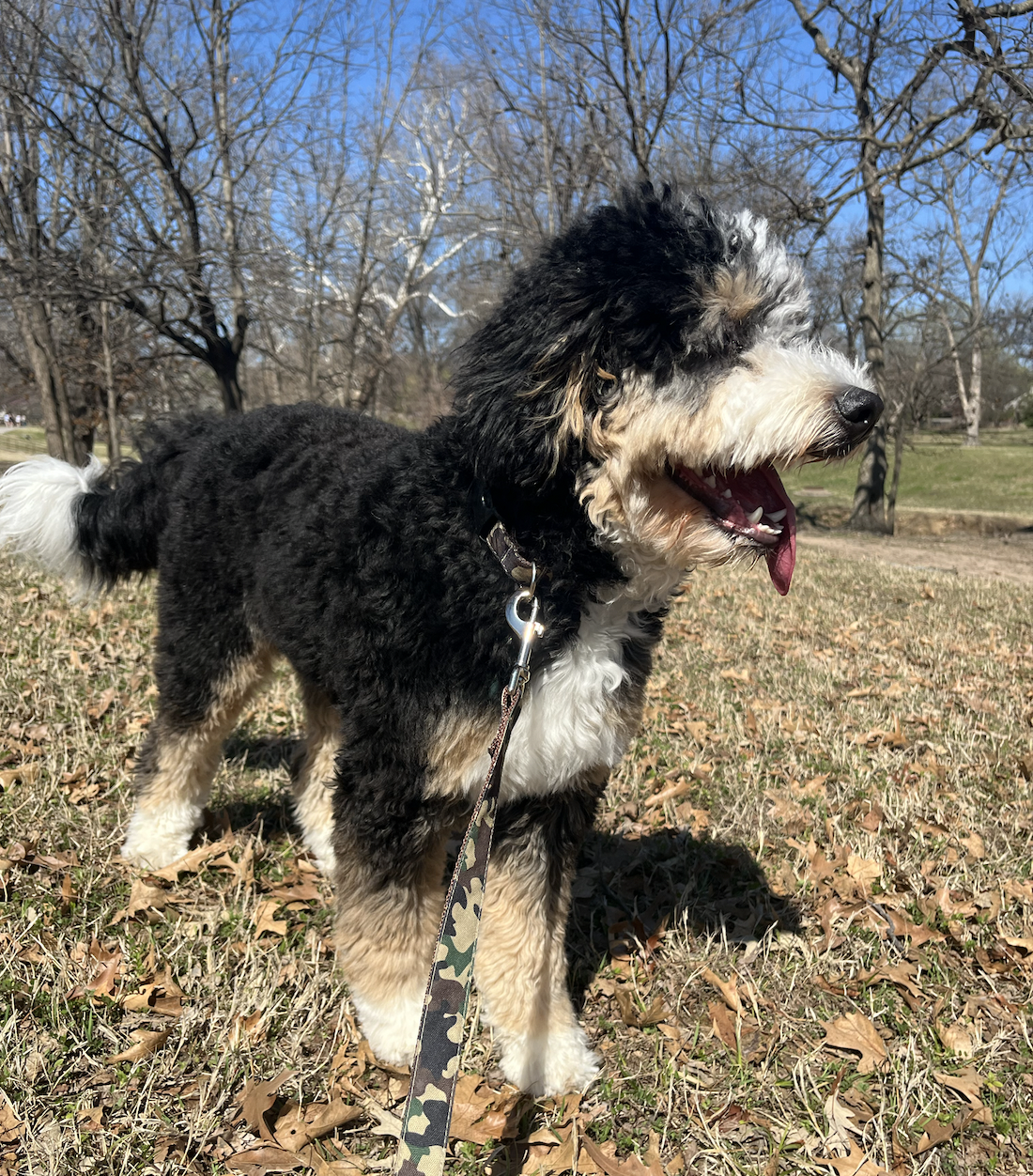 Screen Shot 2026-04-07 at 3.39.46 PM.png