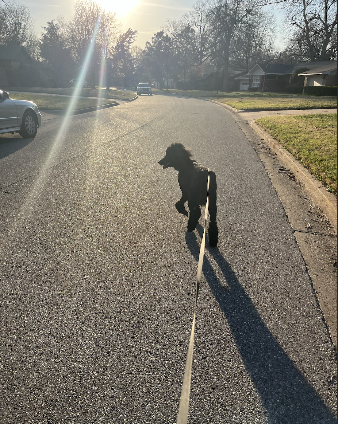 Screen Shot 2026-04-07 at 3.34.53 PM.png