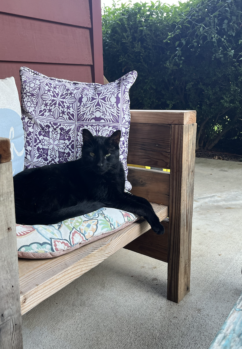 Screen Shot 2026-04-07 at 8.11.53 PM.png