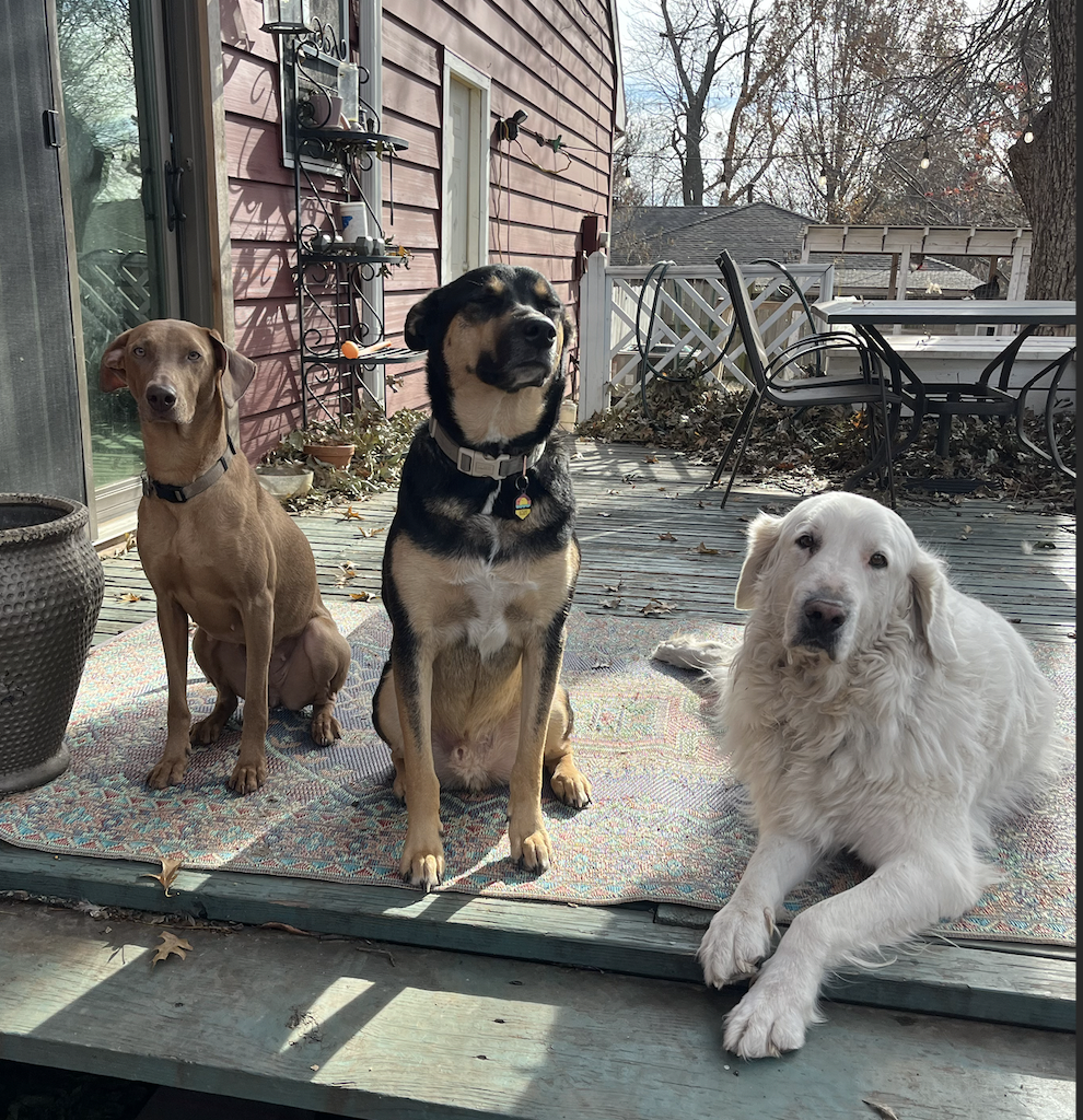 Screen Shot 2026-04-01 at 8.54.48 AM.png