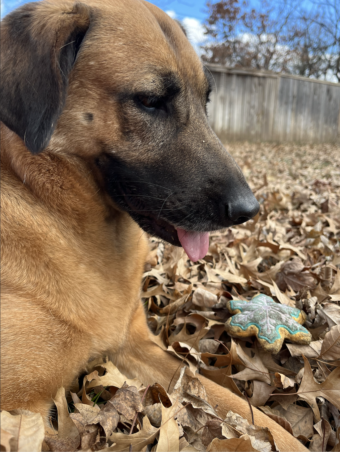 Screen Shot 2026-04-07 at 3.39.25 PM.png