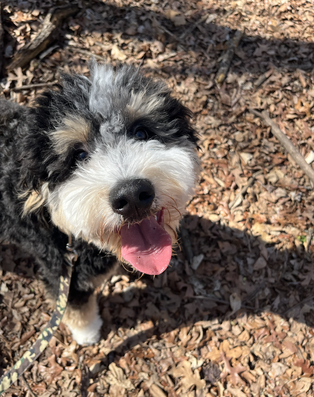 Screen Shot 2026-04-04 at 7.28.58 PM.png