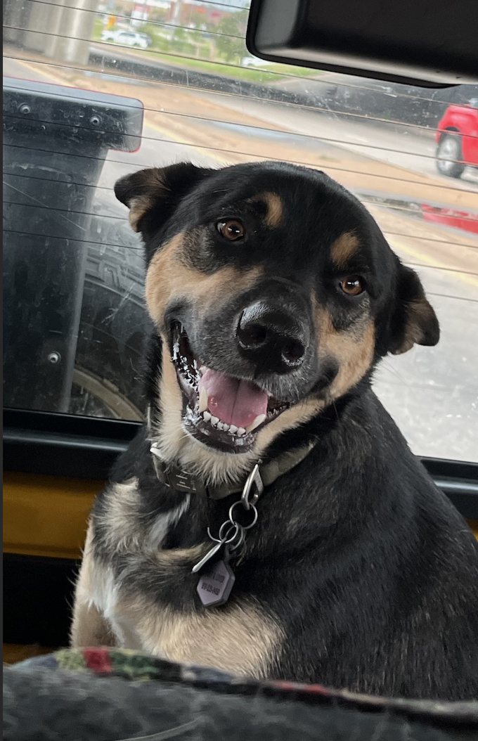 Screen Shot 2026-03-31 at 2.06.21 PM.png