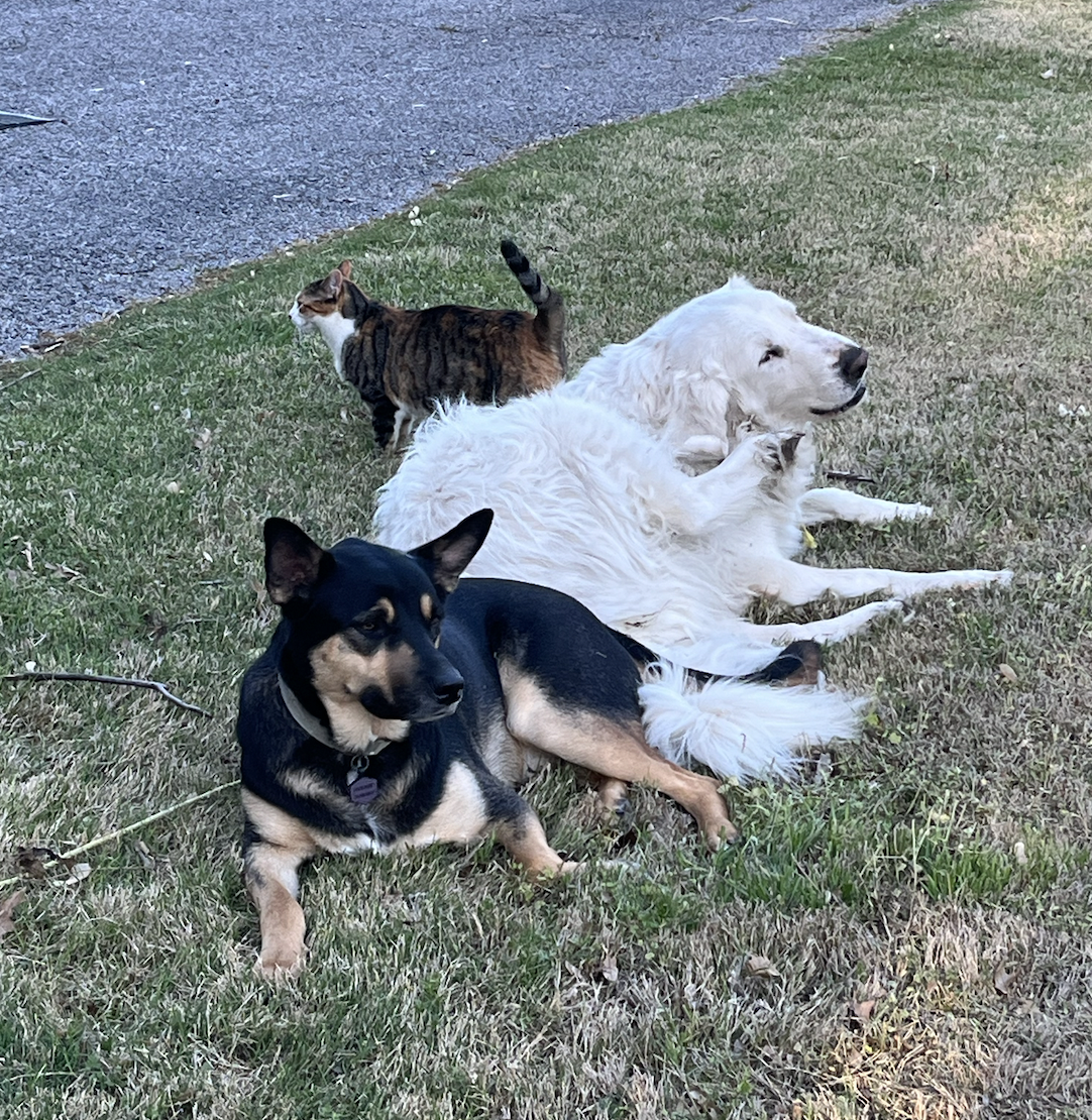 Screen Shot 2026-04-07 at 8.03.05 PM.png