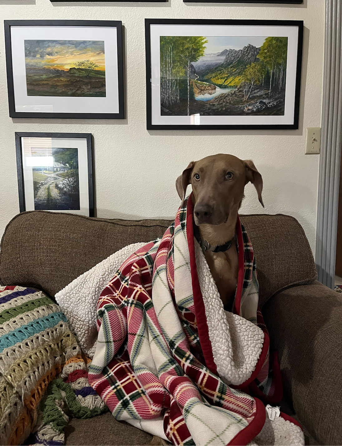 Screen Shot 2026-04-07 at 3.31.37 PM.png