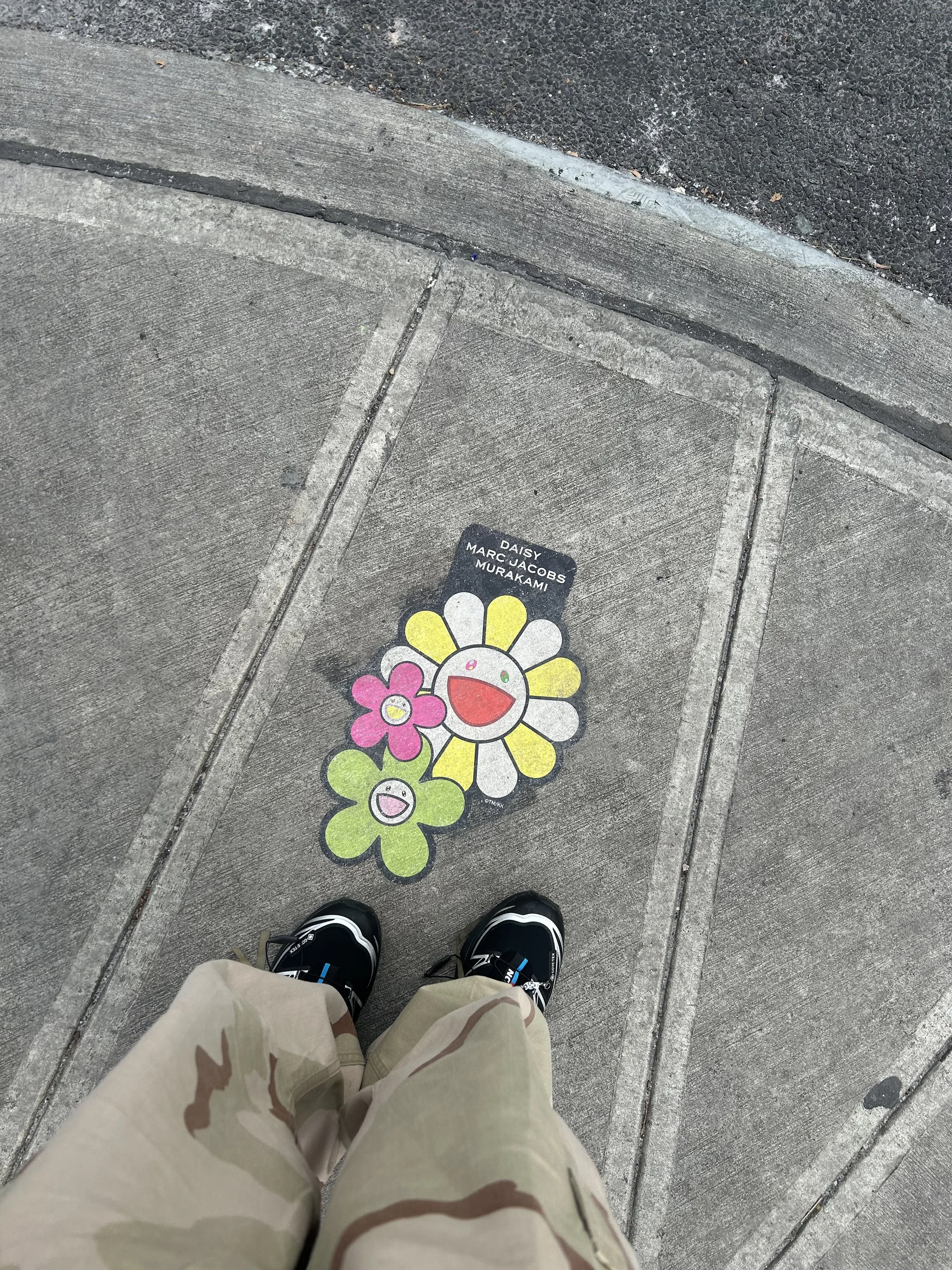 murakami x marc jacobs