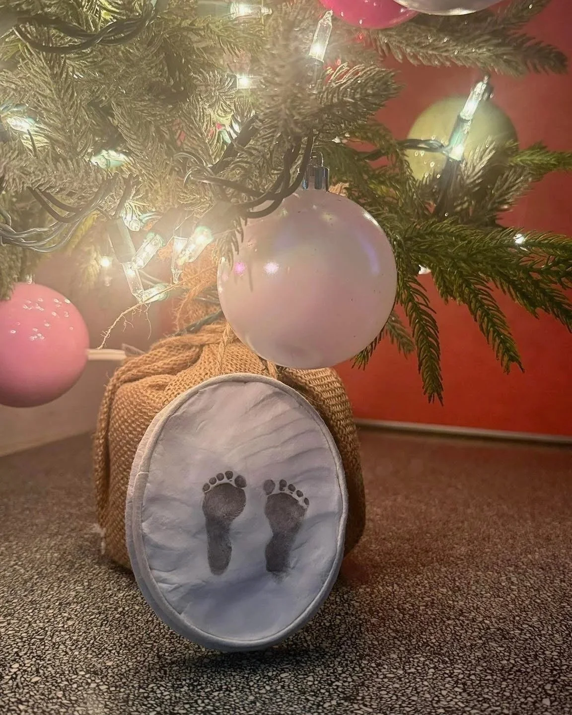 Charlotte: Our Sweet Sunshine