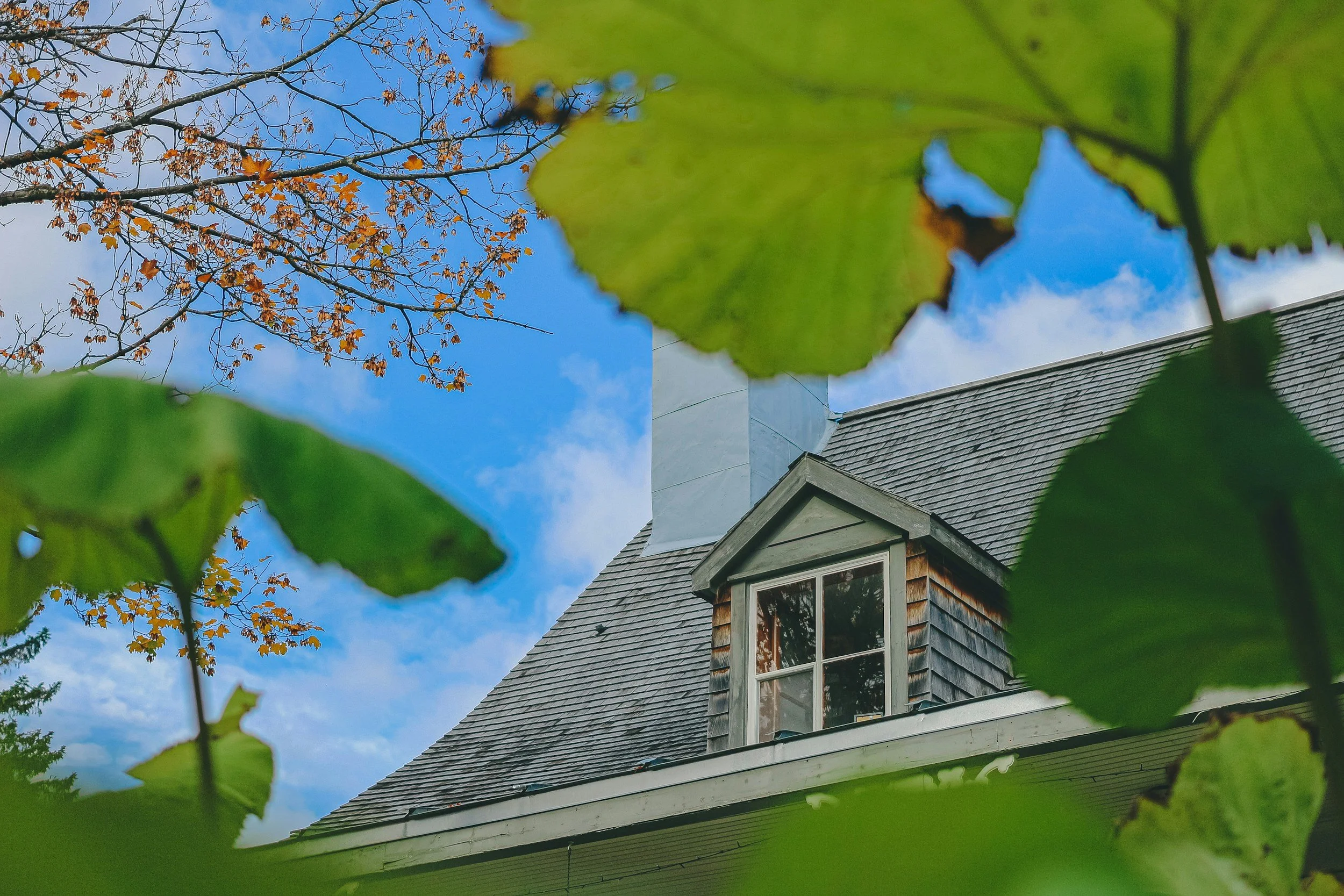 A house roof with a dormer window, framed by green and yellow leaves, under a partly cloudy blue sky.