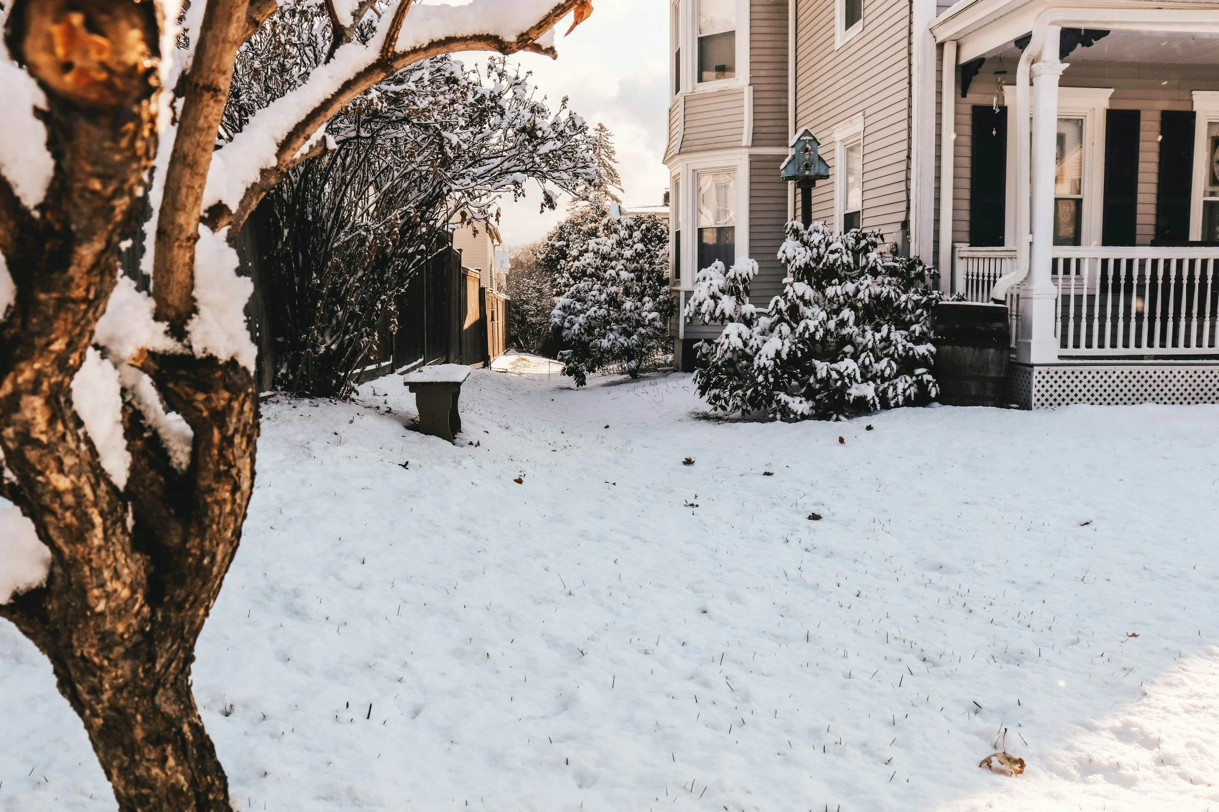 Snow-covered front yard of a house, with trees and bushes also covered in snow, and a house with a porch on the right.