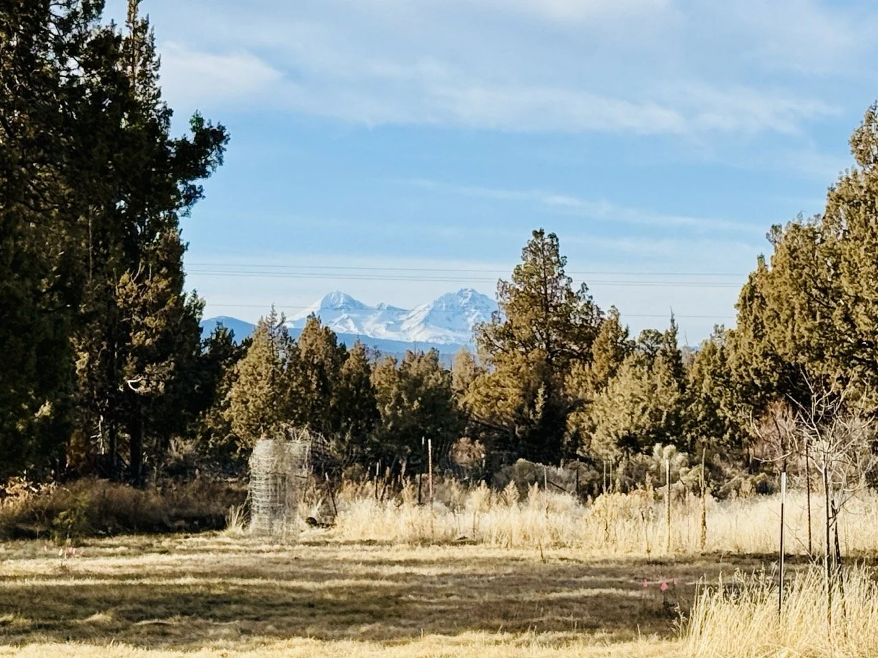 Middle Sister and North Sister - view from guest room and dining room