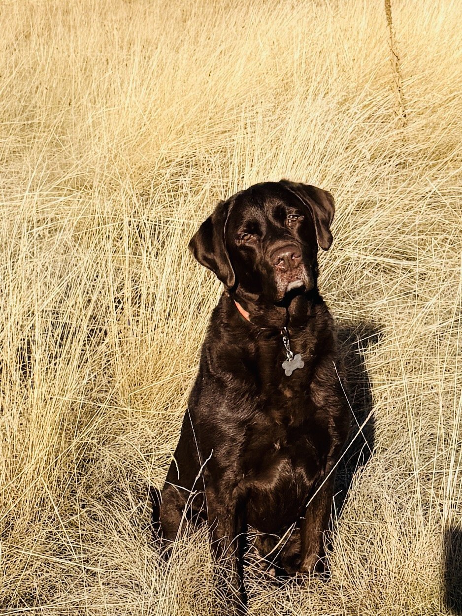 Walter in his happy place