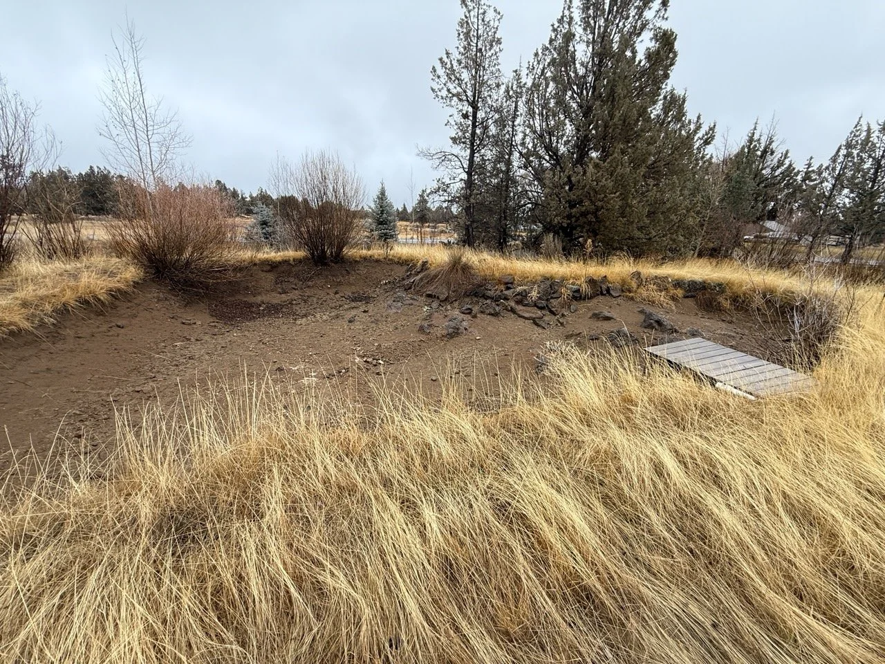 Swim pond with dock for the dogs