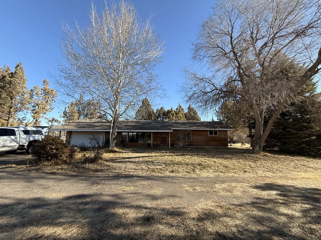 Front exterior. Sadly the tree on the left will have to go due to roots