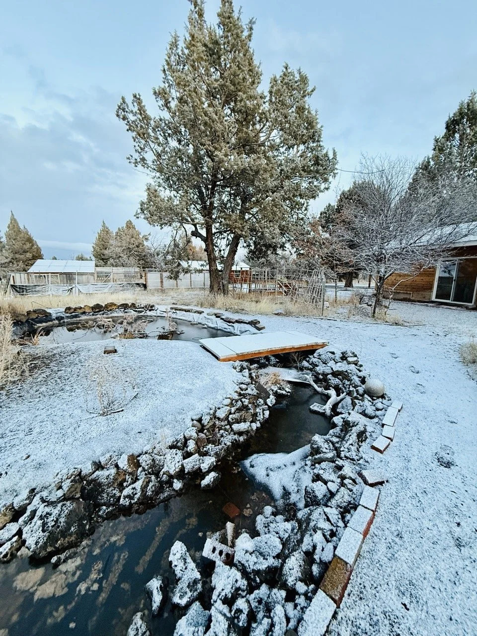 North Pond outside of Master Bedroom