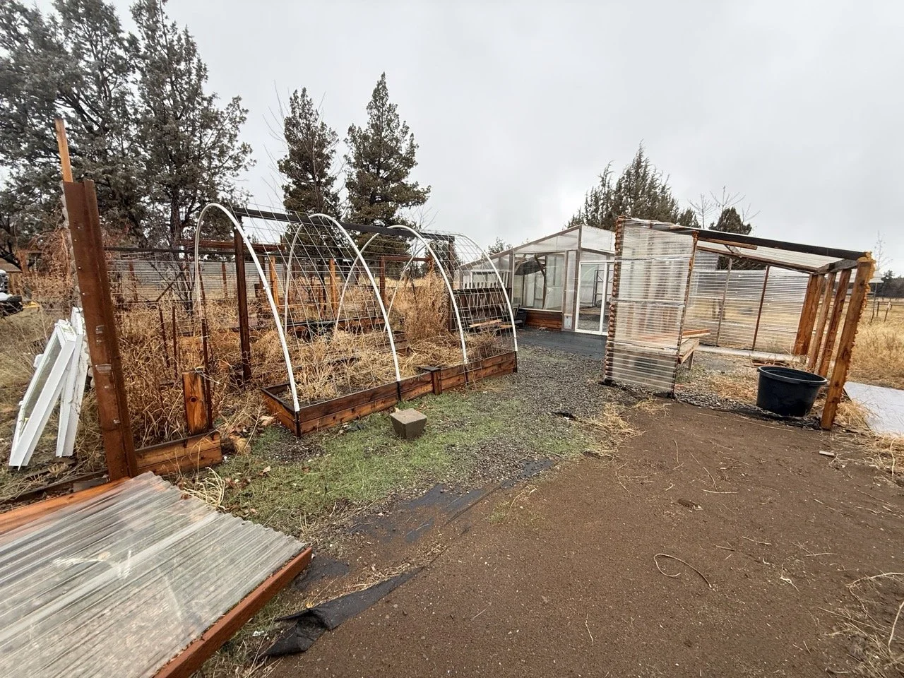 Bear Creek Greenhouse.jpeg