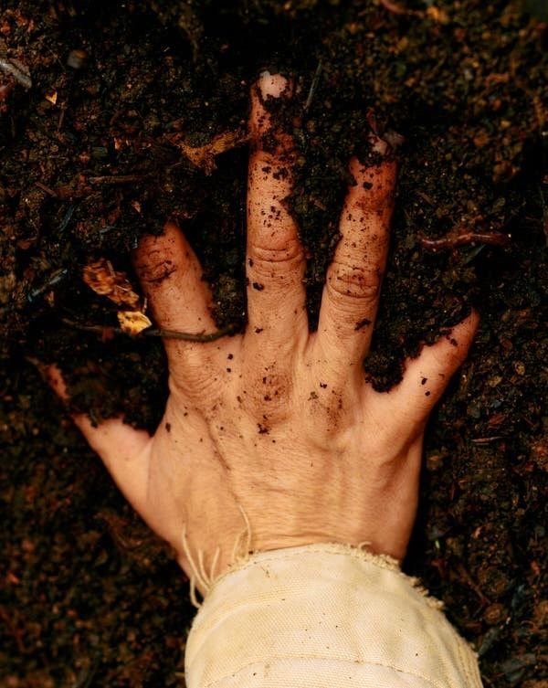 Homesteading Without the Land: Building a Rooted Life W Here You Are  