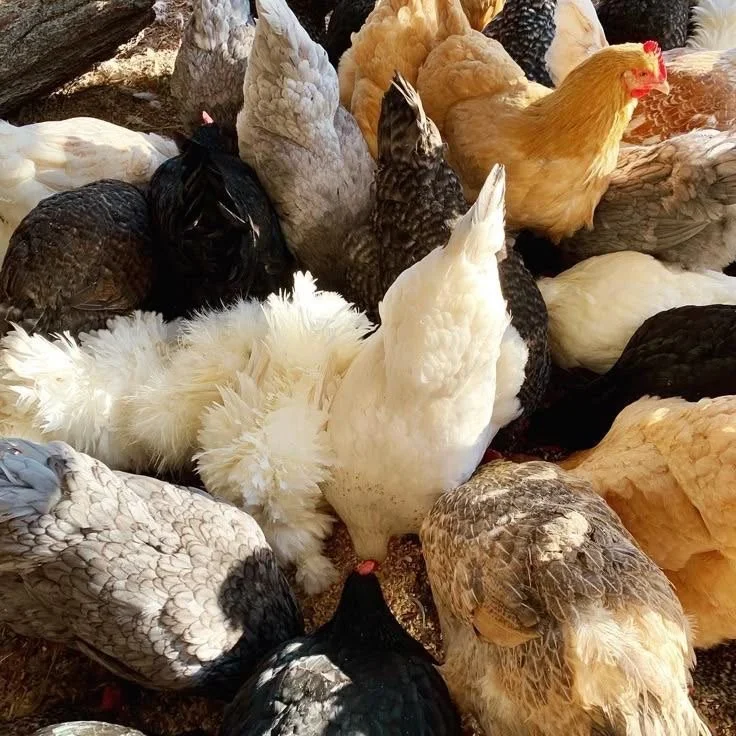 Ending the Weekend with Sourdough &amp; Stepping into a New Week