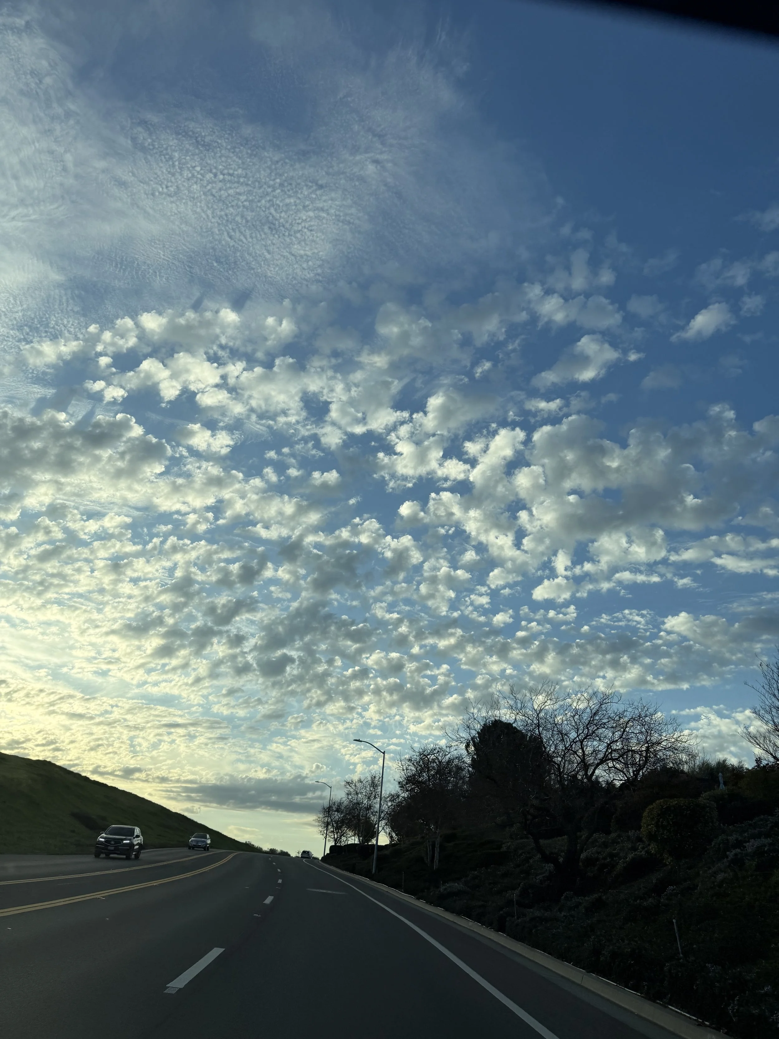 Creating a Simple Homeschool Rhythm Around Homestead Life