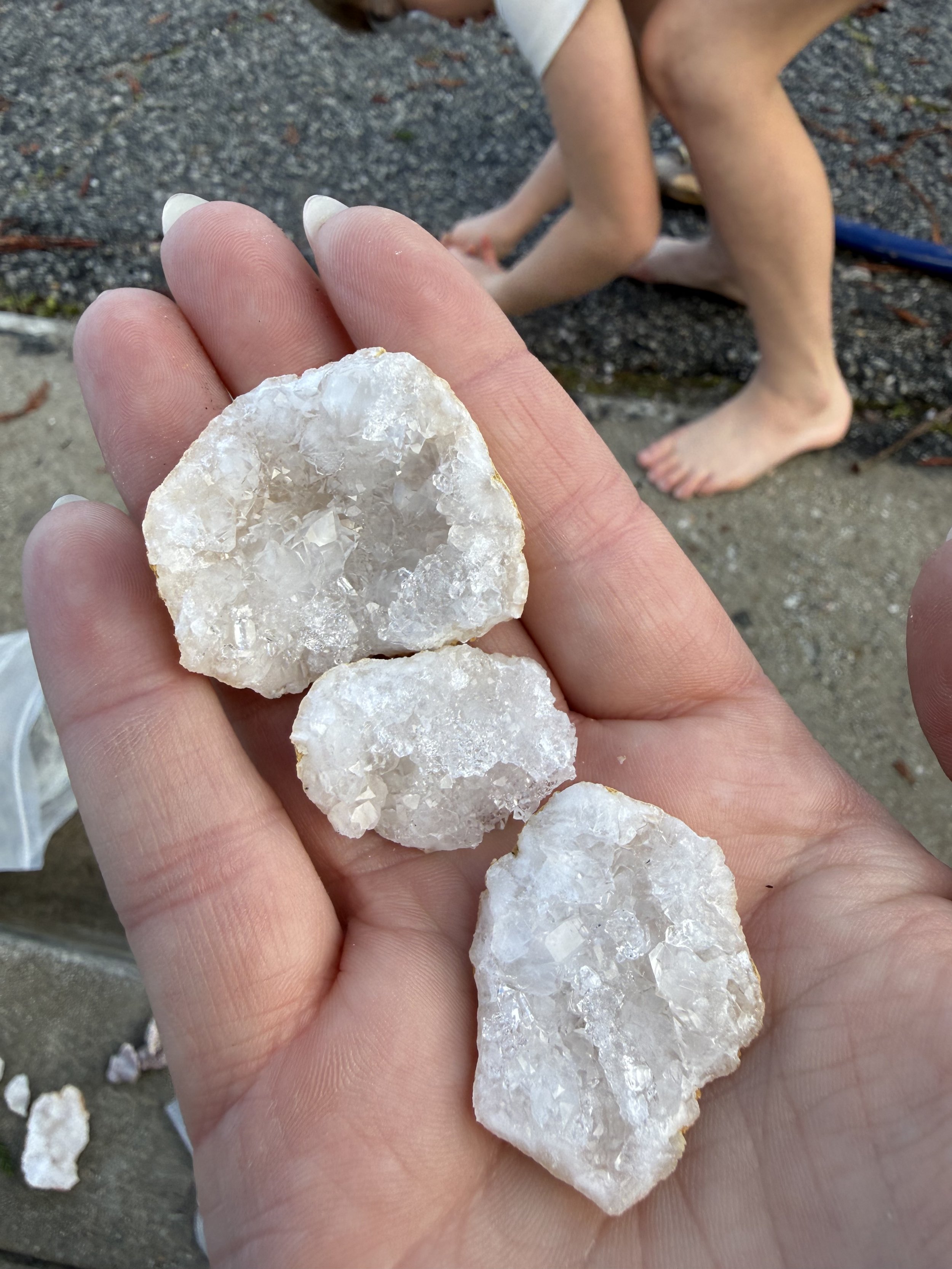 You Don’t Have to Do It All: Why Slow Homesteading Pairs So Well With Homeschooling