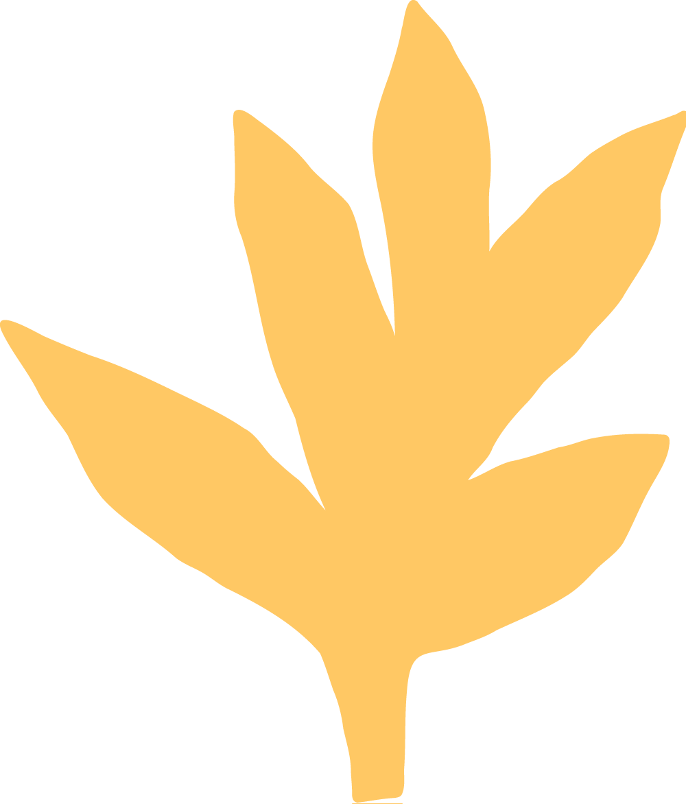 The Seaforth Kindergarten Branding