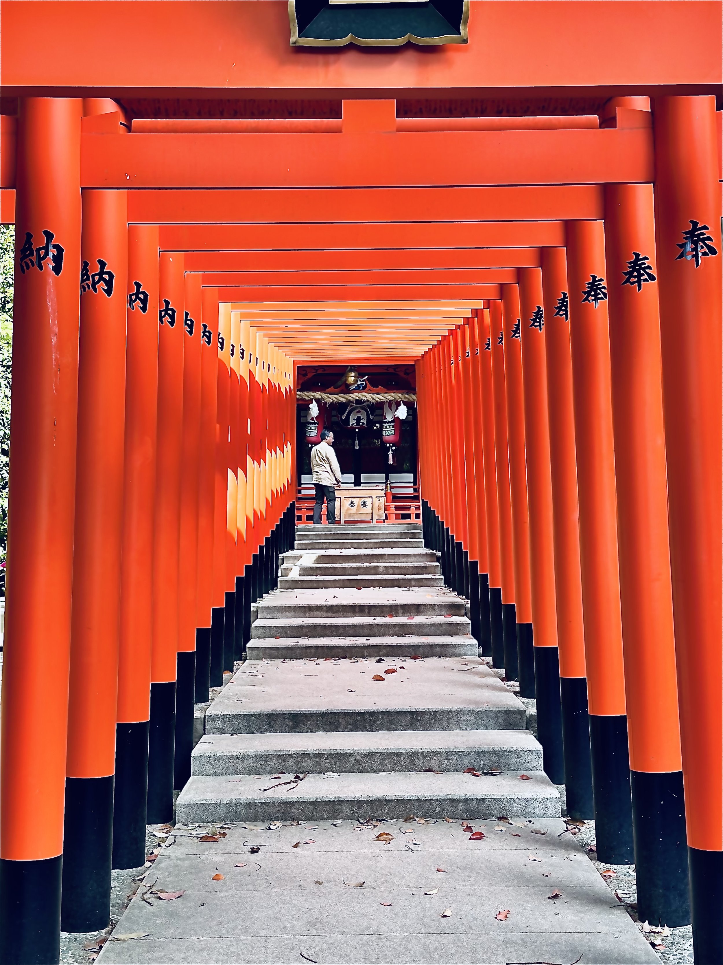 Global Meaningful Travel