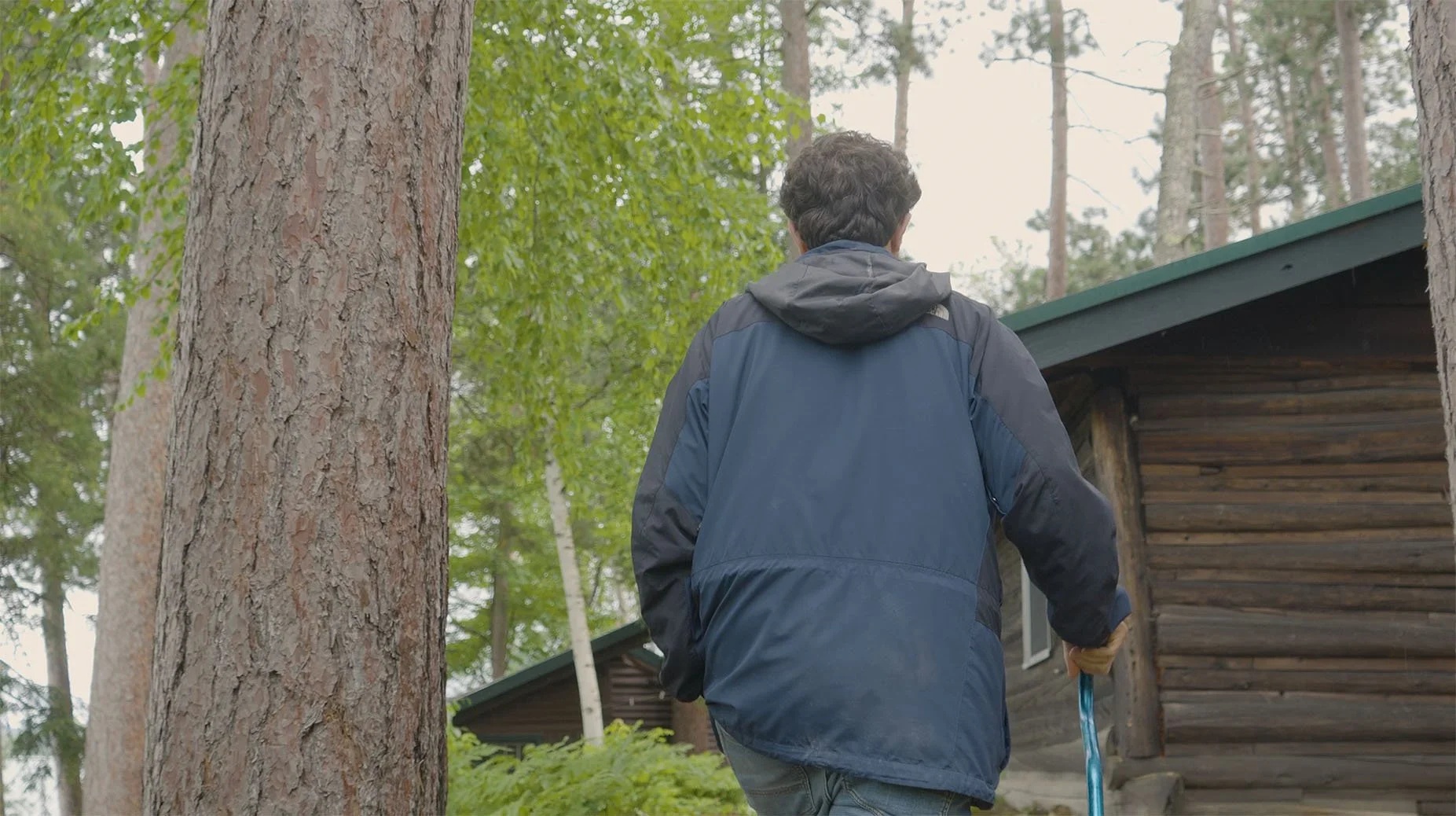 A person in a blue jacket walking in a forested area with tall trees and a wooden cabin in the background.