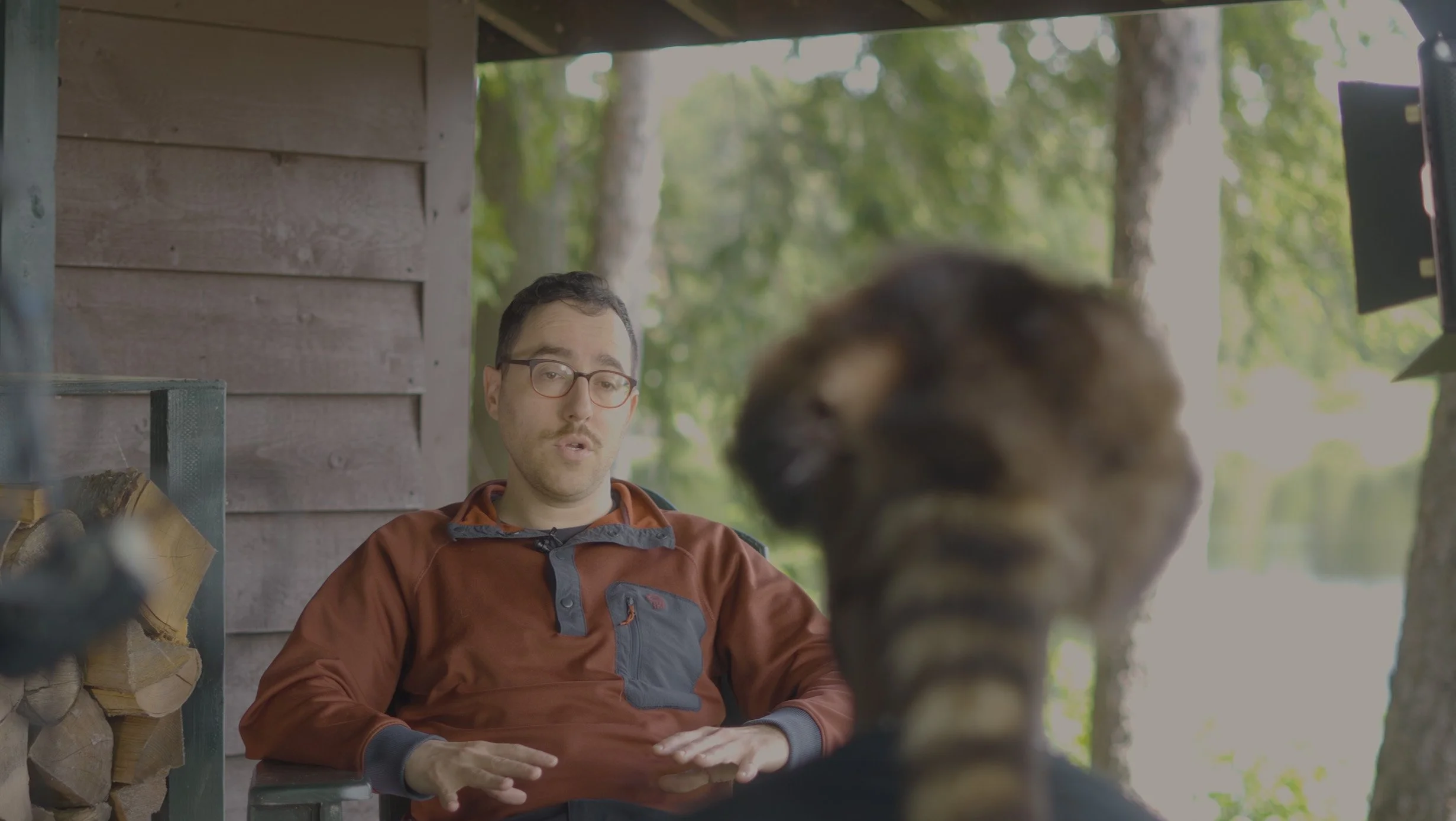 A man with glasses and a brown jacket sitting outdoors, talking to a blurry animal, possibly a tiger, with a wooded background.
