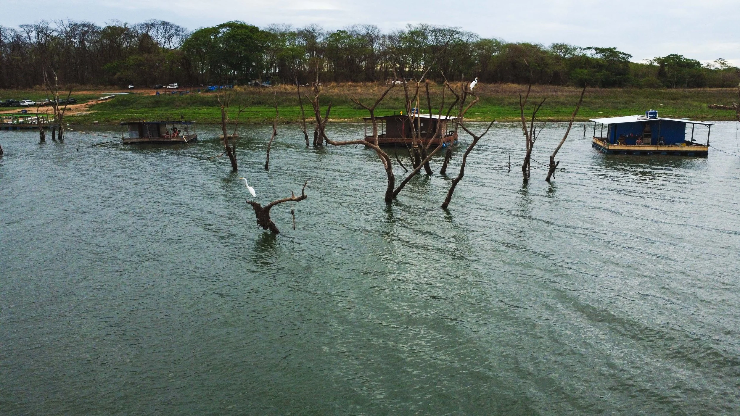 Fotos Mata dos Macacos - Guaraci - SP 27.jpg