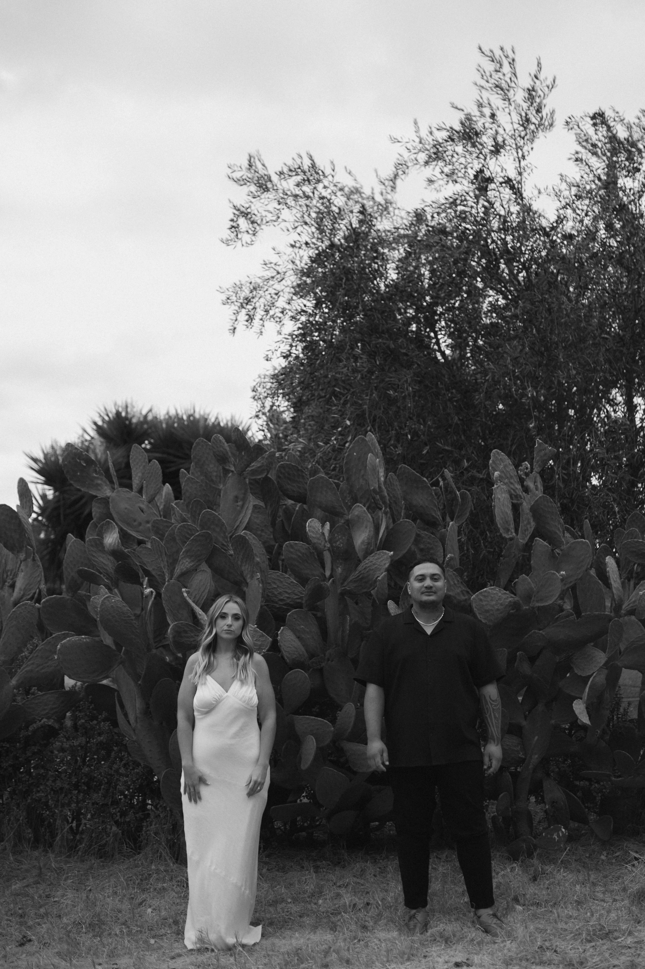 Black and white photo of a woman in a white dress and a man in a black shirt standing in front of large cactus plants outdoors.
