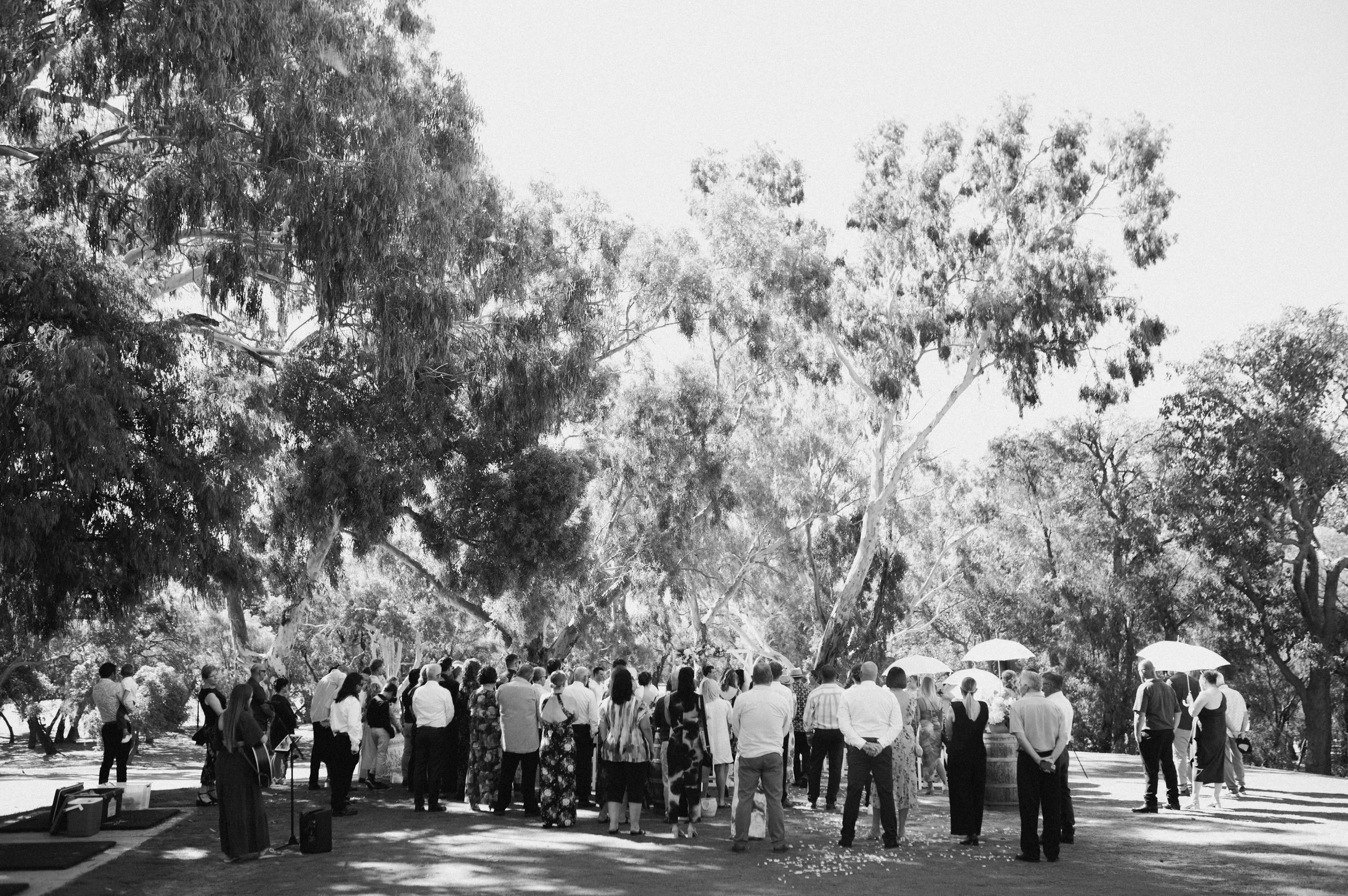 Group of people gathered outdoors under large trees, some holding umbrellas, in a park or garden setting.