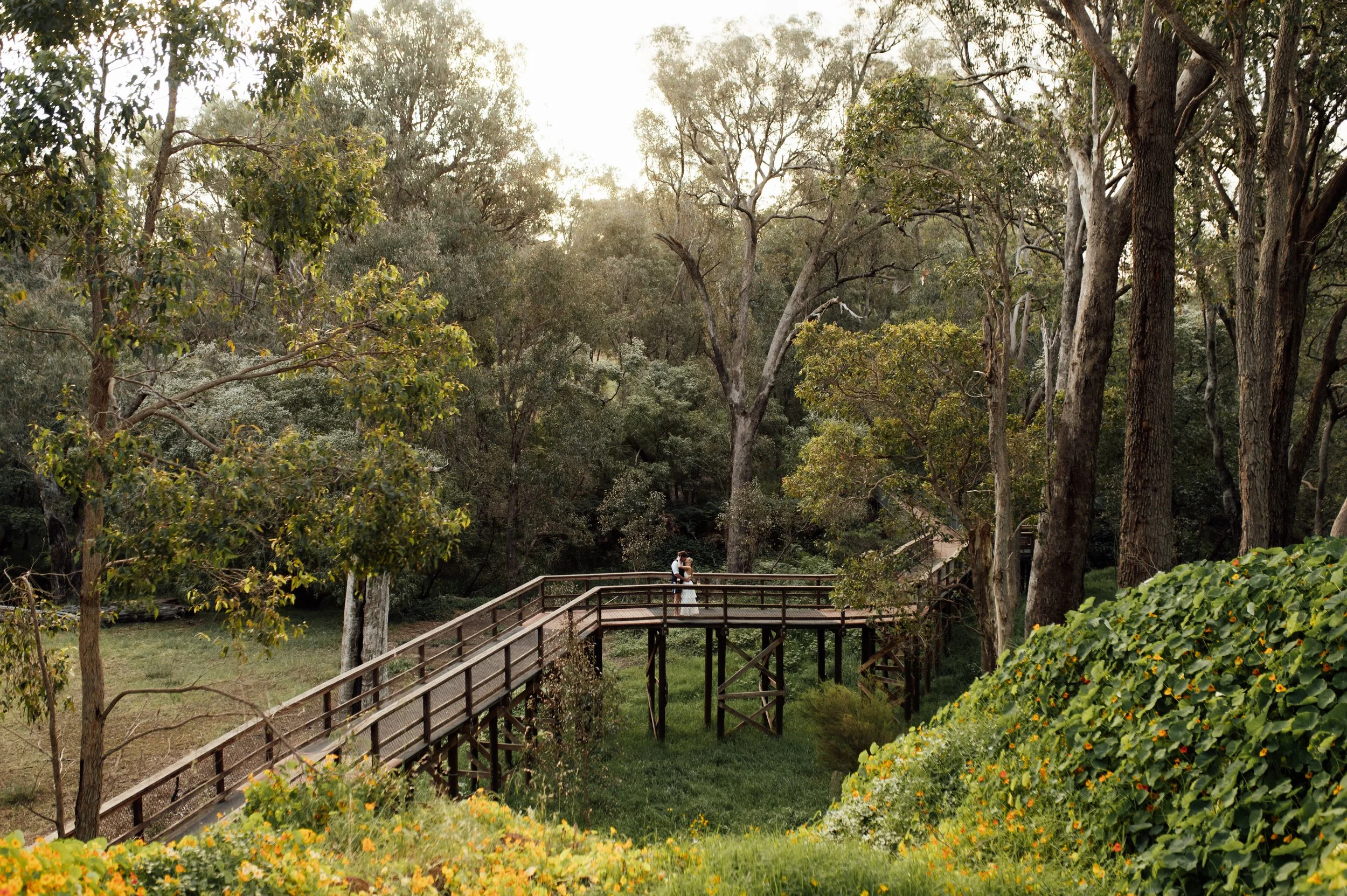 A couple in wedding attire standing on a wooden bridge in a forested park with green trees and shrubbery, sunlight filtering through the trees.
