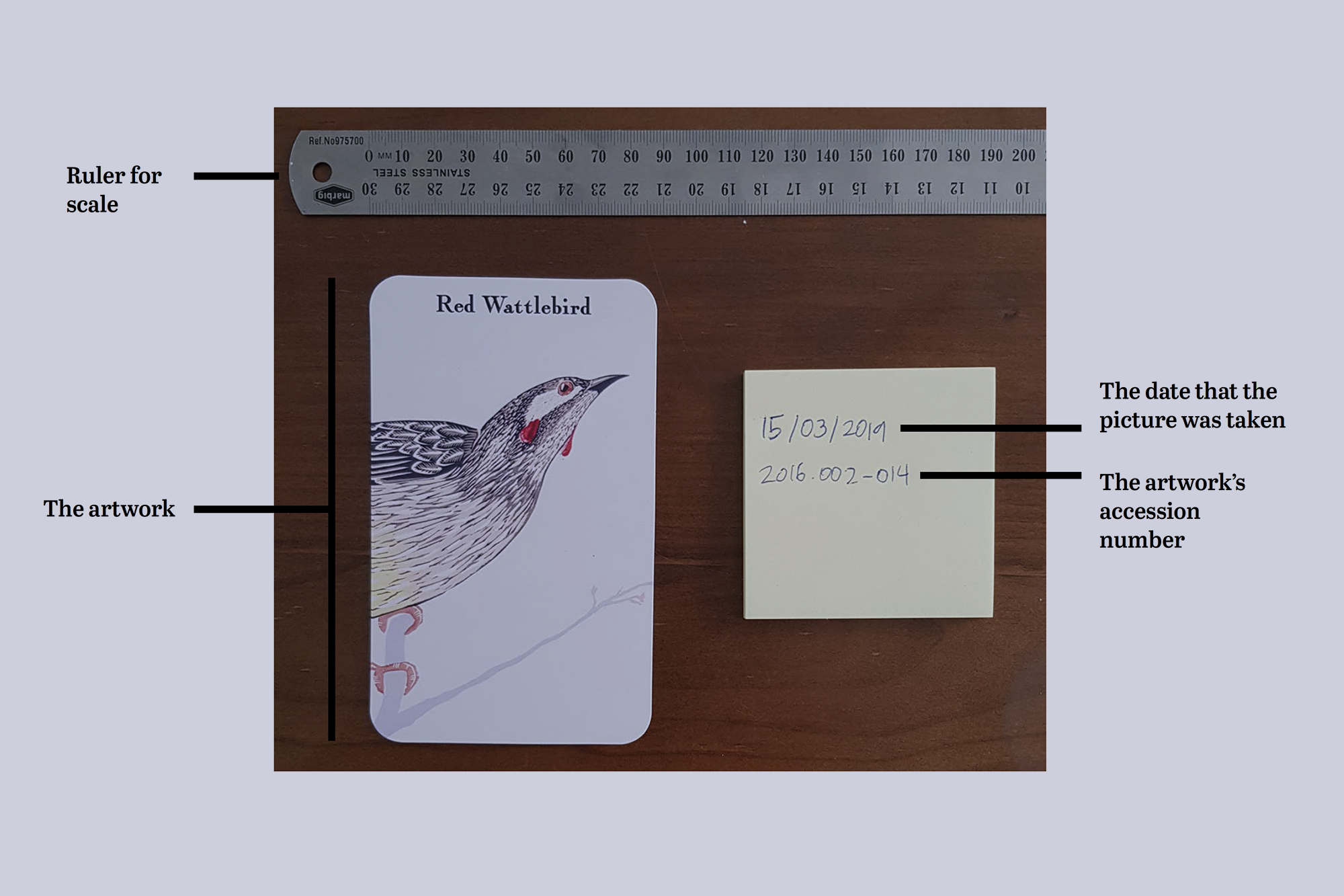 Example of artwork documentation with ruler for scale, artwork and accession numbers visible