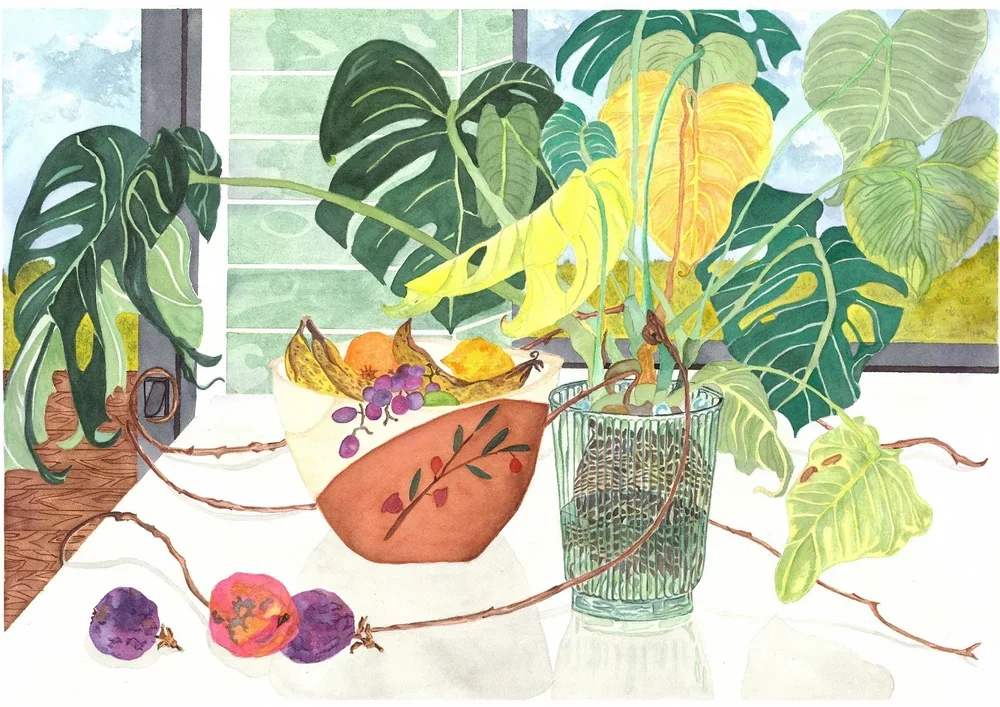 Rosalind Simonsen, Monstera Escape Plan (2025), Watercolour, 52 x 37 x 5.5 cm